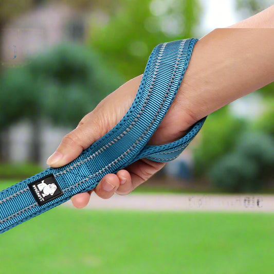 Reflective Soft Mesh Dog Leash – 110cm Padded Training Lead