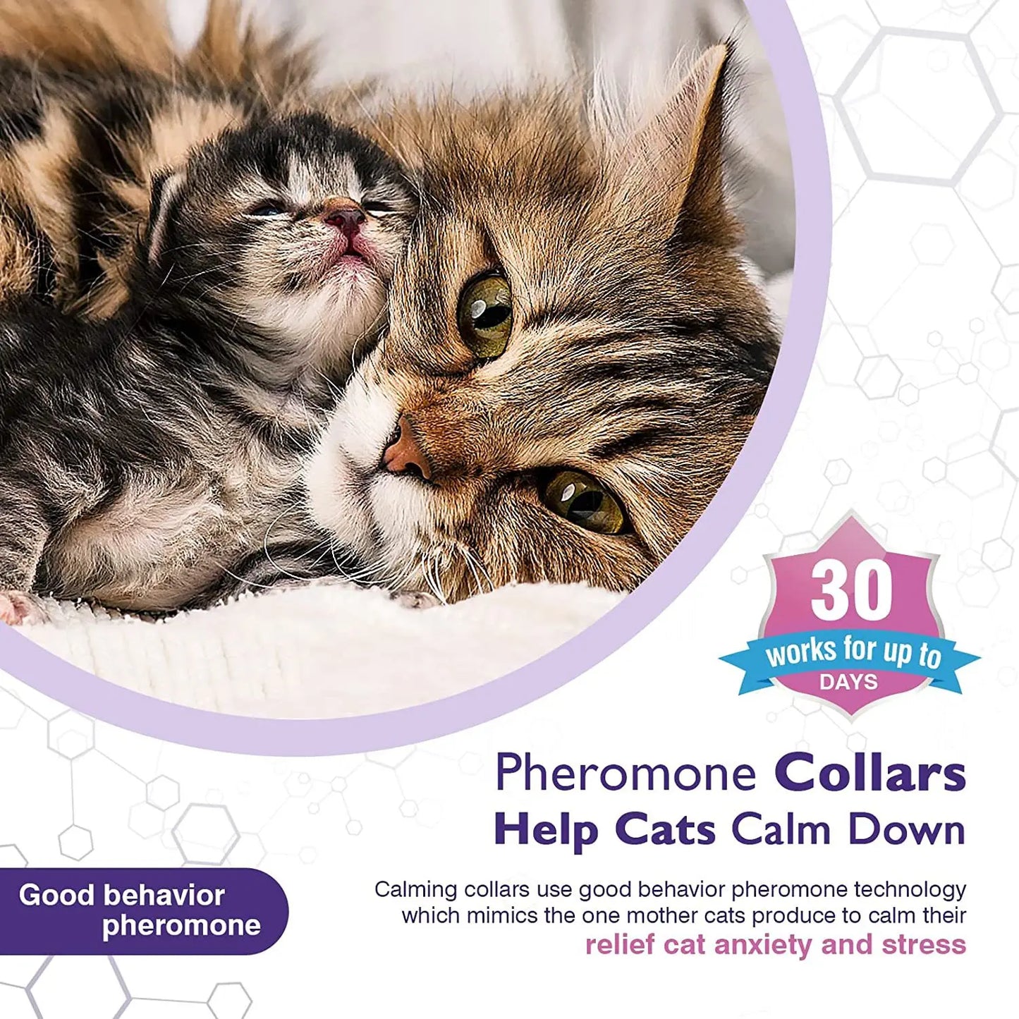 Adjustable Pet Calming Collar – Lavender & Chamomile for Anxiety Relief