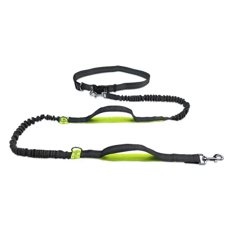 Hands-Free Dog Leash – Adjustable Running Waist Belt Leash