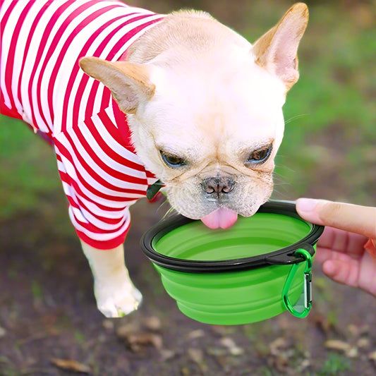 Collapsible Silicone Travel Pet Bowl – Portable Dish for Dogs & Cats