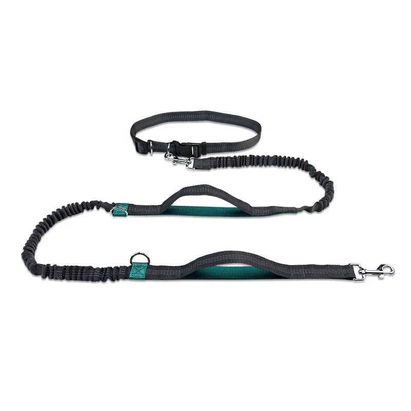 Hands-Free Dog Leash – Adjustable Running Waist Belt Leash