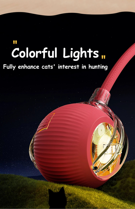 Smart Rechargeable Cat Ball Toy – Auto Rolling Interactive Trainer