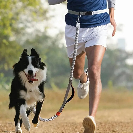 Hands-Free Dog Leash – Adjustable Running Waist Belt Leash