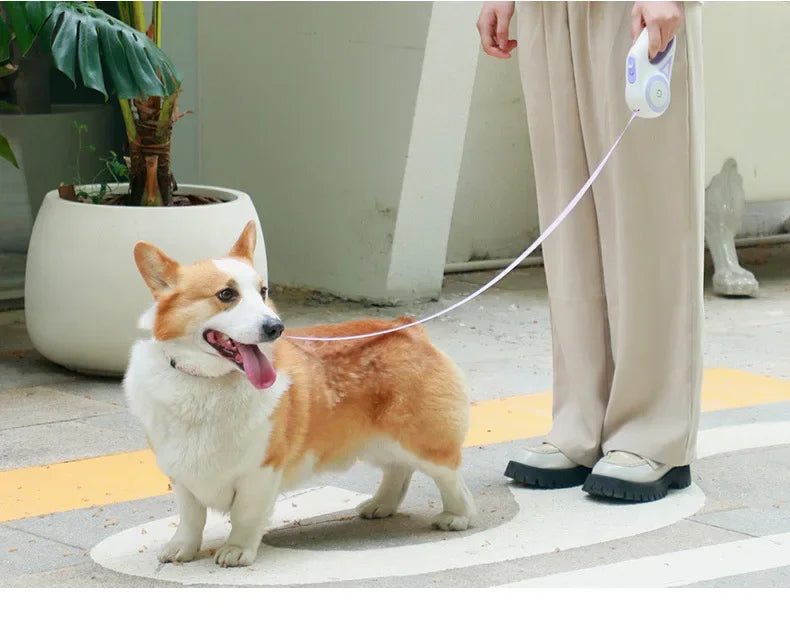 LED Retractable Dog Leash – Lighted Safety Leash, 3m/5m
