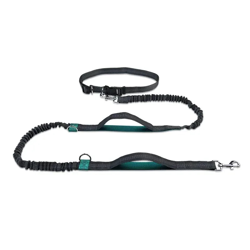Hands-Free Dog Leash – Adjustable Running Waist Belt Leash