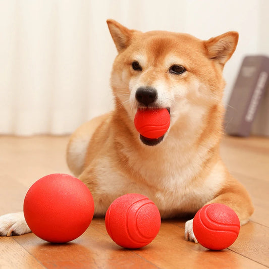 Indestructible Dog Ball – Solid Rubber Bite-Resistant Training Toy