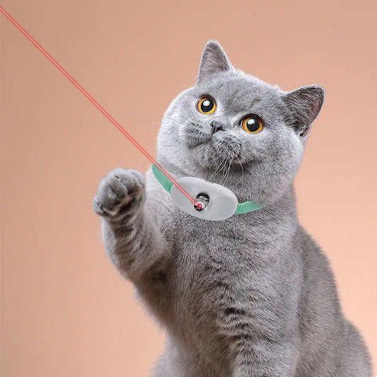 Smart Cat Laser Collar – USB Rechargeable LED Laser Toy