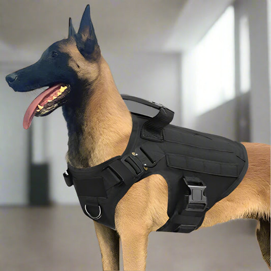 Tactical Military Dog Harness & Leash Set – Heavy-Duty Training Vest