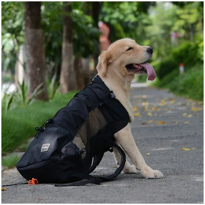 Hiking Dog Carrier Backpack – Breathable Travel Bag