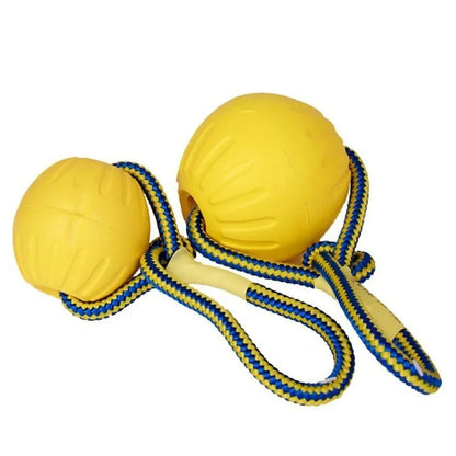 Durable Dog Training Ball with Rope – Indestructible Chew & Fetch Toy