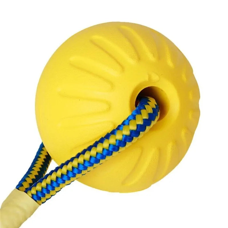 Durable Dog Training Ball with Rope – Indestructible Chew & Fetch Toy