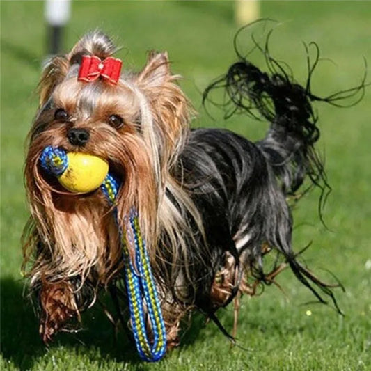 Durable Dog Training Ball with Rope – Indestructible Chew & Fetch Toy
