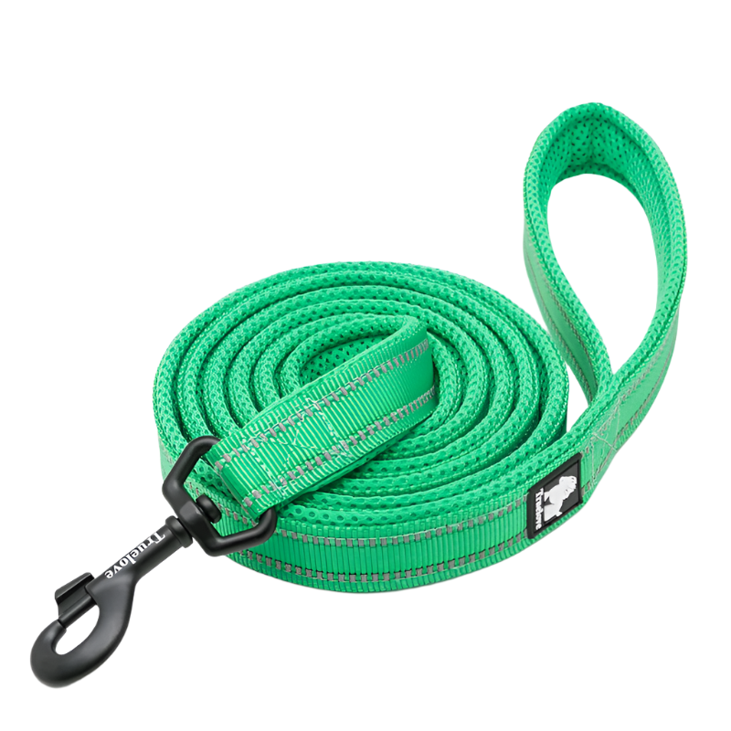 Reflective Soft Mesh Dog Leash – 110cm Padded Training Lead