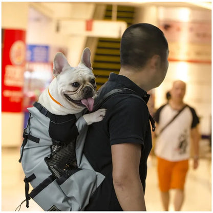 Hiking Dog Carrier Backpack – Breathable Travel Bag