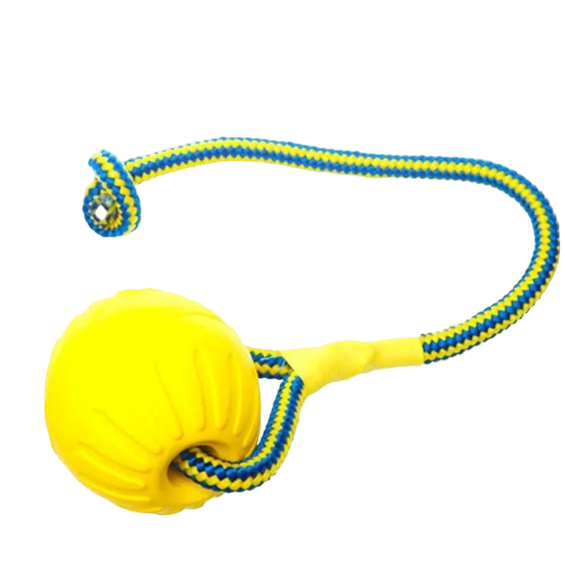 Durable Dog Training Ball with Rope – Indestructible Chew & Fetch Toy