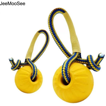 Durable Dog Training Ball with Rope – Indestructible Chew & Fetch Toy