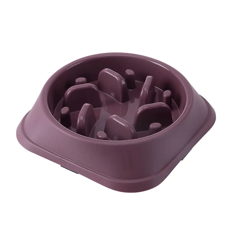 Anti-Choking Slow Feeder Pet Bowl – Non-Slip for Healthy Eating