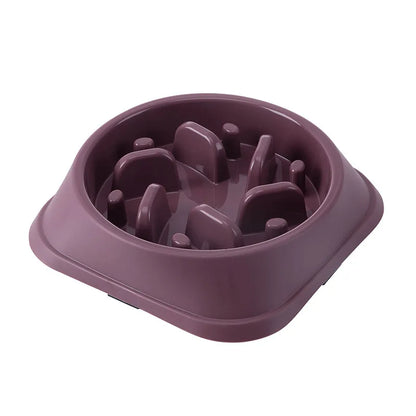 Anti-Choking Slow Feeder Pet Bowl – Non-Slip for Healthy Eating