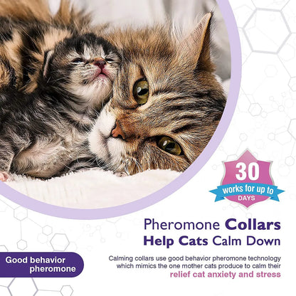 Adjustable Pet Calming Collar – Lavender & Chamomile for Anxiety Relief