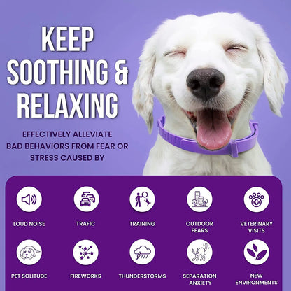 Adjustable Pet Calming Collar – Lavender & Chamomile for Anxiety Relief