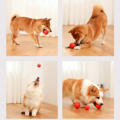 Indestructible Dog Ball – Solid Rubber Bite-Resistant Training Toy