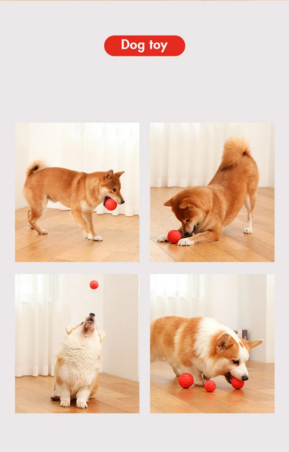Indestructible Dog Ball – Solid Rubber Bite-Resistant Training Toy