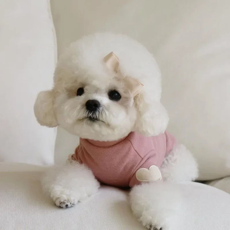 "Love Bear" Winter Hoodie for Dogs & Cats – Warm Designer Pet Clothing