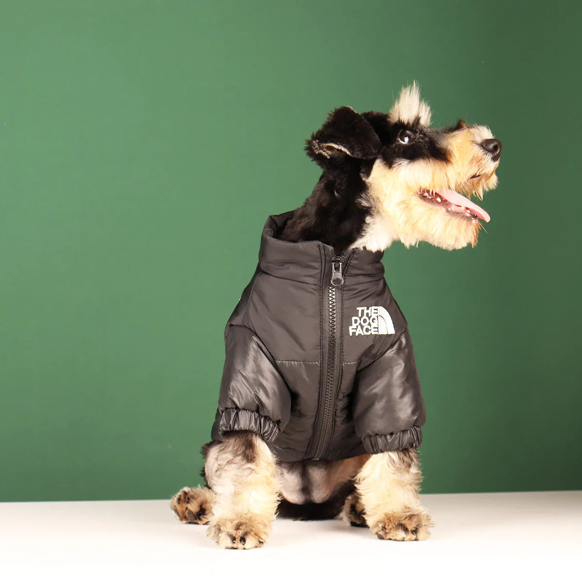 Reflective Winter Dog Jacket – Waterproof Windproof Coat for All Sizes