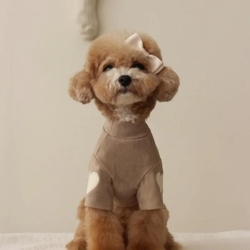 "Love Bear" Winter Hoodie for Dogs & Cats – Warm Designer Pet Clothing