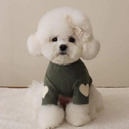 "Love Bear" Winter Hoodie for Dogs & Cats – Warm Designer Pet Clothing