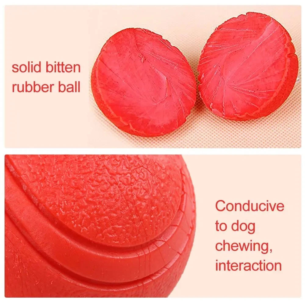 Indestructible Dog Ball – Solid Rubber Bite-Resistant Training Toy
