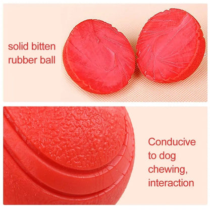 Indestructible Dog Ball – Solid Rubber Bite-Resistant Training Toy