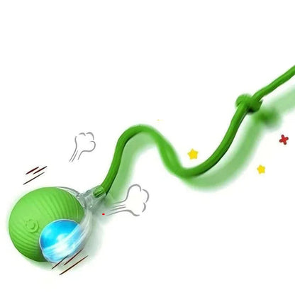 Smart Rechargeable Cat Ball Toy – Auto Rolling Interactive Trainer