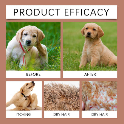 PH-Balanced Pet Shampoo & Conditioner – Moisturizing, Anti-Itch, Flea & Dirt Removal