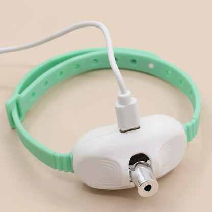 Collier laser intelligent pour chat – Jouet laser LED rechargeable par USB