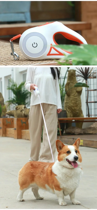LED Retractable Dog Leash – Lighted Safety Leash, 3m/5m