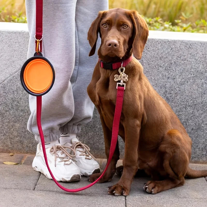 Collapsible Silicone Travel Pet Bowl – Portable Dish for Dogs & Cats