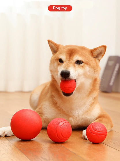 Indestructible Dog Ball – Solid Rubber Bite-Resistant Training Toy