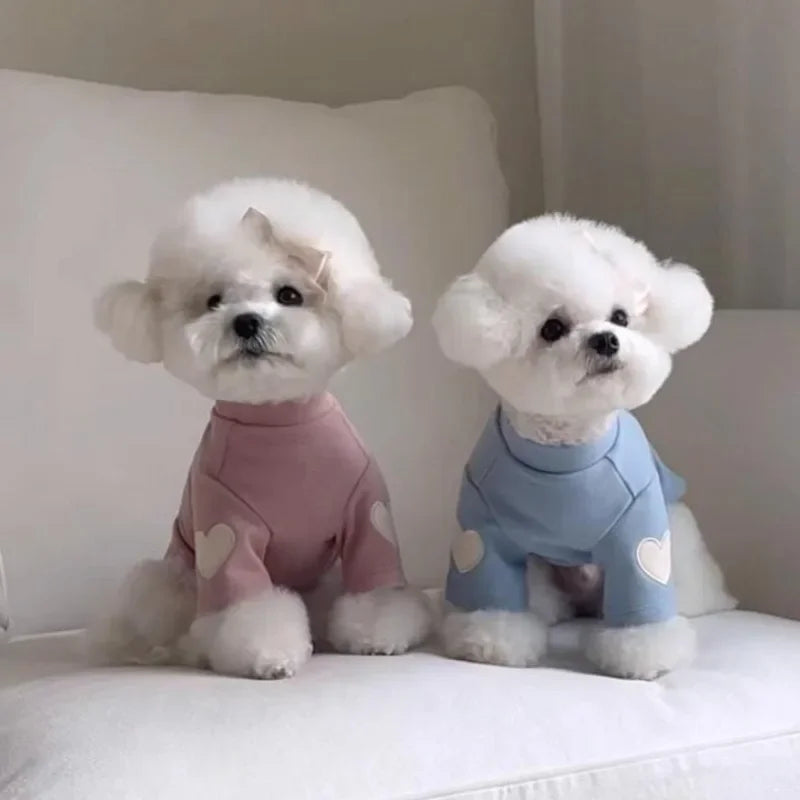"Love Bear" Winter Hoodie for Dogs & Cats – Warm Designer Pet Clothing