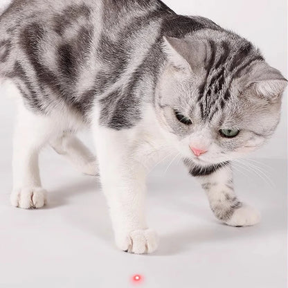 Collier laser intelligent pour chat – Jouet laser LED rechargeable par USB