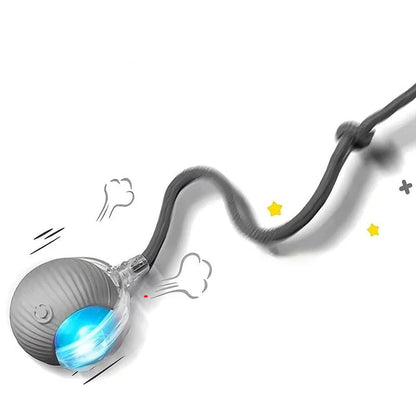 Smart Rechargeable Cat Ball Toy – Auto Rolling Interactive Trainer