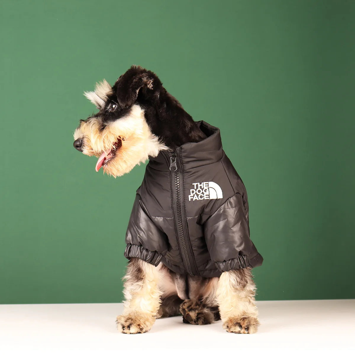 Reflective Winter Dog Jacket – Waterproof Windproof Coat for All Sizes