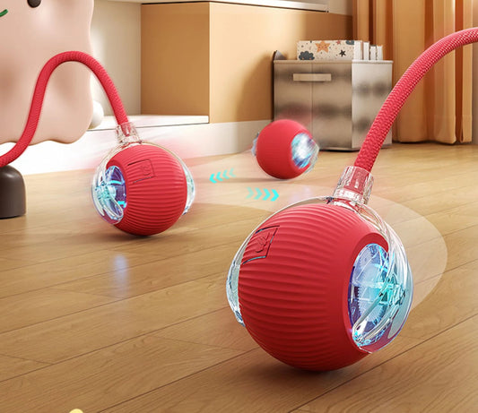 Smart Rechargeable Cat Ball Toy – Auto Rolling Interactive Trainer