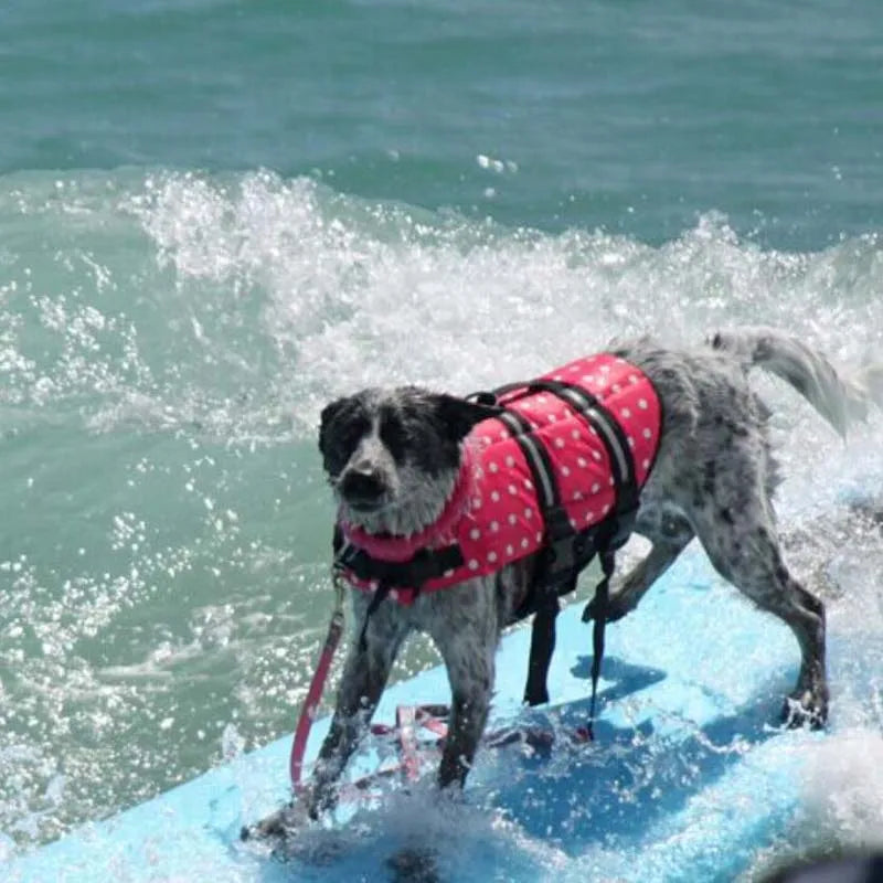Summer Dog Life Vest – Reflective Safety Swimming Suit