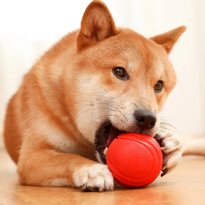 Indestructible Dog Ball – Solid Rubber Bite-Resistant Training Toy