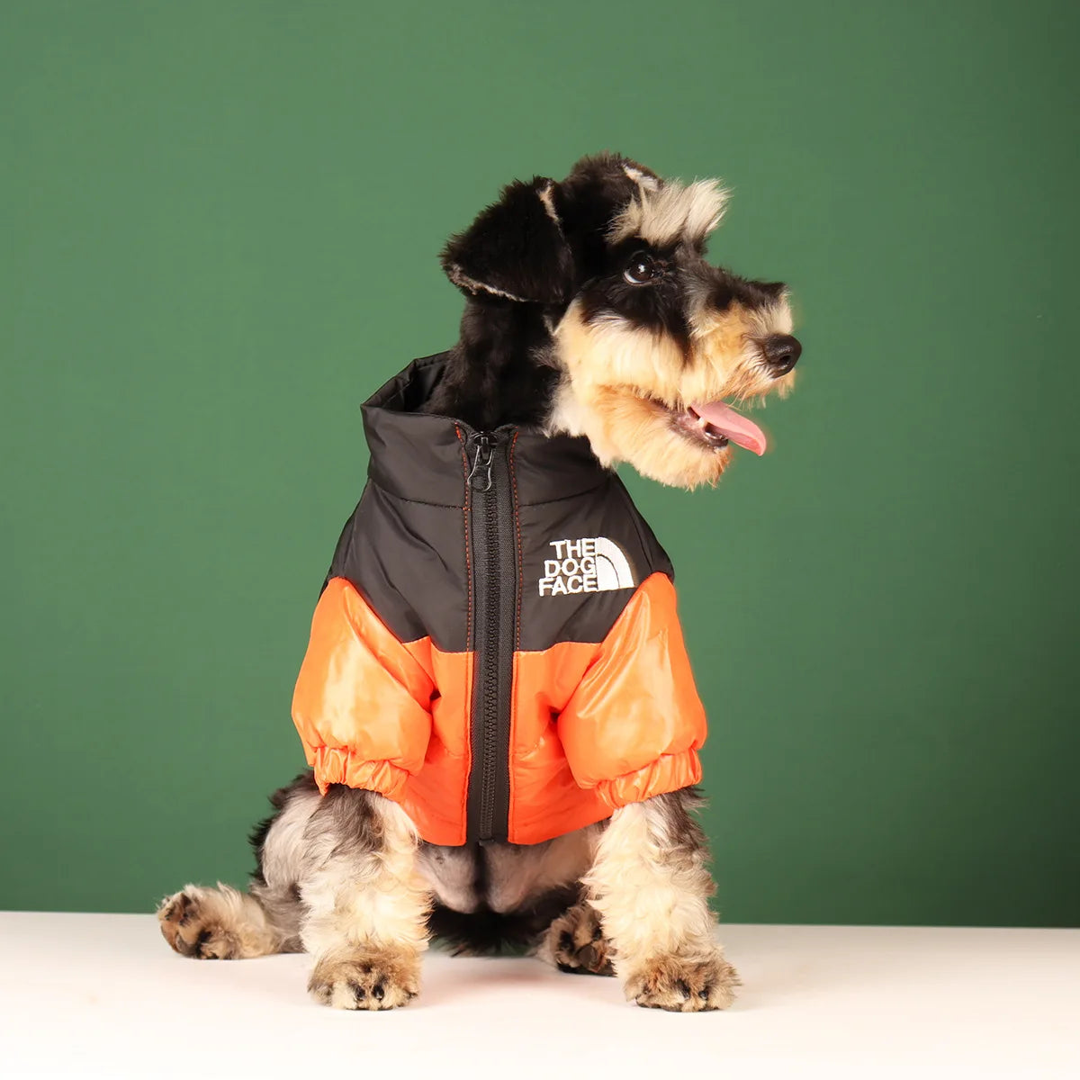 Reflective Winter Dog Jacket – Waterproof Windproof Coat for All Sizes