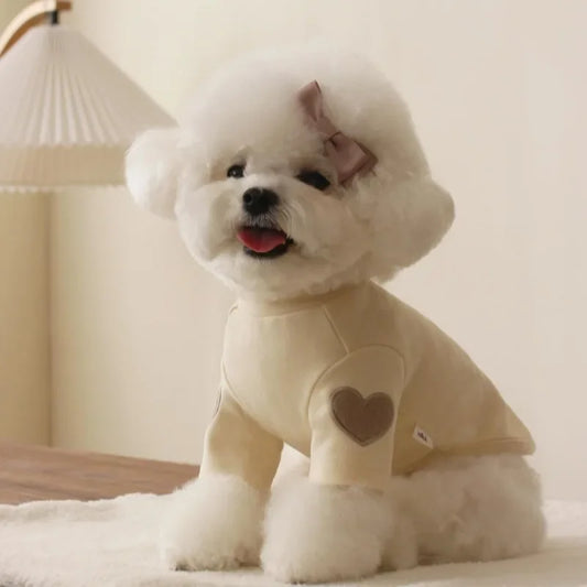 "Love Bear" Winter Hoodie for Dogs & Cats – Warm Designer Pet Clothing