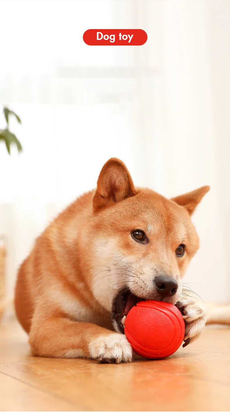 Indestructible Dog Ball – Solid Rubber Bite-Resistant Training Toy