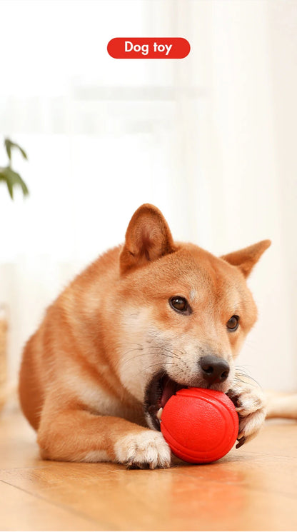 Indestructible Dog Ball – Solid Rubber Bite-Resistant Training Toy