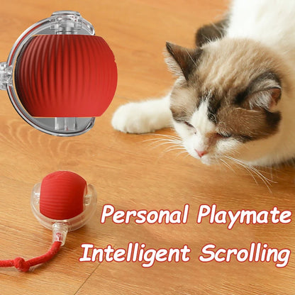 Smart Rechargeable Cat Ball Toy – Auto Rolling Interactive Trainer